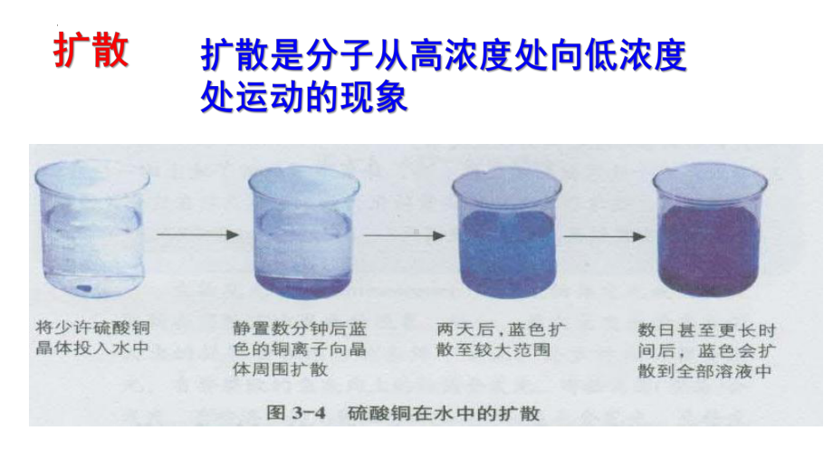 3.3物质通过多种方式出入细胞（上课）ppt课件-2023新浙科版（2019）《高中生物》必修第一册.pptx_第3页