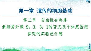 第1章 第3节 素能提升课 9：3：3：1的变式及个体基因型探究的实验设计题 ppt课件-2023新苏教版（2019）《高中生物》必修第二册.ppt