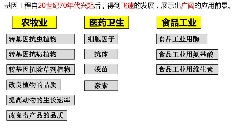 一轮复习ppt课件 基因工程的应用、蛋白质工程-2023新人教版（2019）《高中生物》选择性必修第三册.pptx_第2页