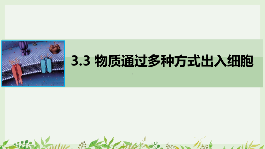 3.3 物质通过多种方式出入细胞ppt课件-2023新浙科版（2019）《高中生物》必修第一册.pptx_第1页