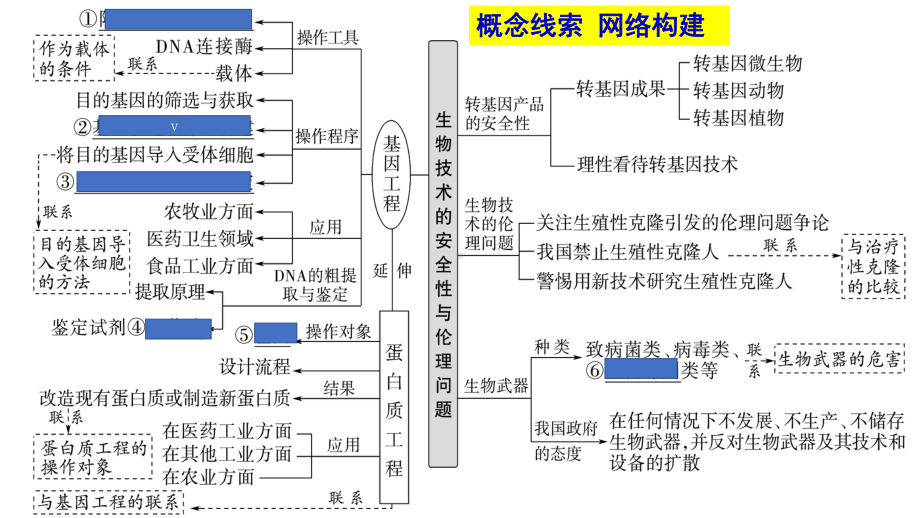 二轮复习ppt课件：基因工程 -2023新人教版（2019）《高中生物》选择性必修第三册.pptx_第2页