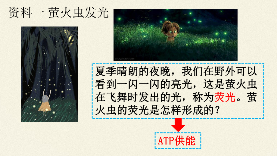 3.1 ATP是细胞内的“能量通货”ppt课件 -2023新浙科版（2019）《高中生物》必修第一册.pptx_第3页