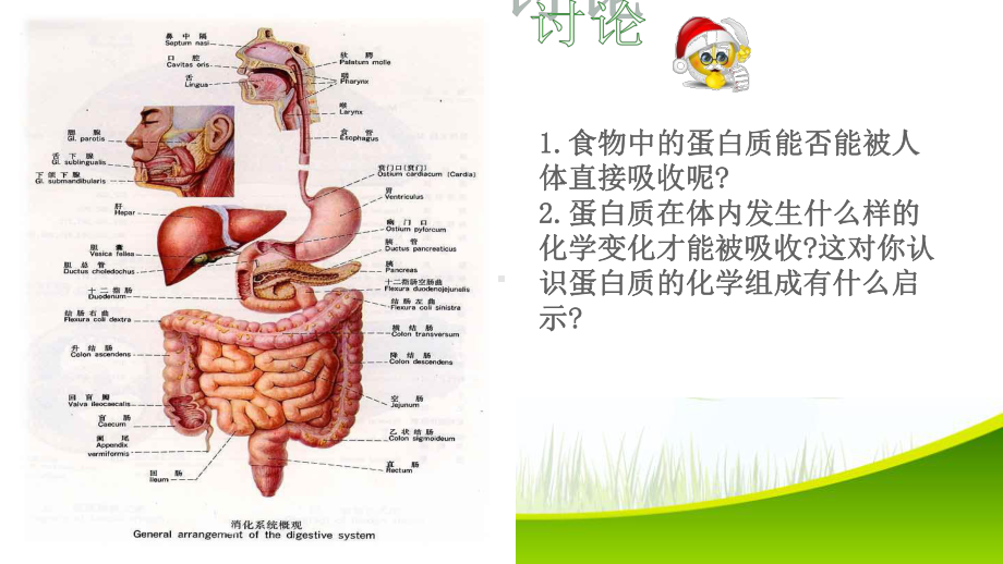 1.3.1 细胞中的蛋白质 ppt课件-2023新苏教版（2019）《高中生物》必修第一册.pptx_第3页