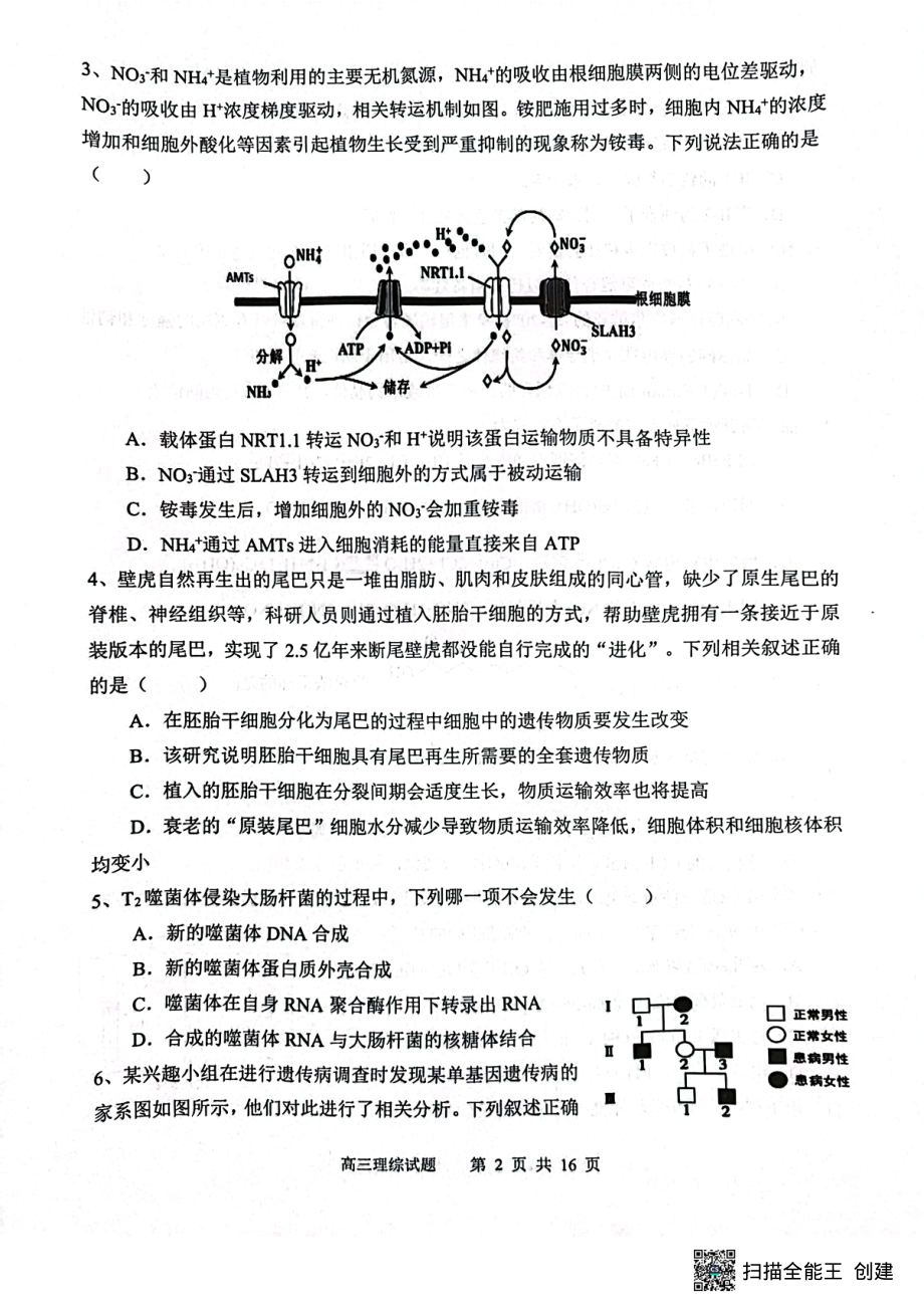 四川省成都市新都区2022-2023学年高三上学期期末摸底测试理科综合试题 - 副本.pdf_第2页