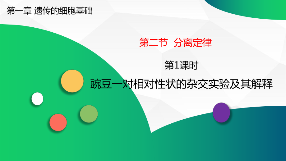 1.2.1 分离定律 豌豆一对相对性状的杂交实验及其解释 ppt课件-2023新苏教版（2019）《高中生物》必修第二册.pptx_第1页