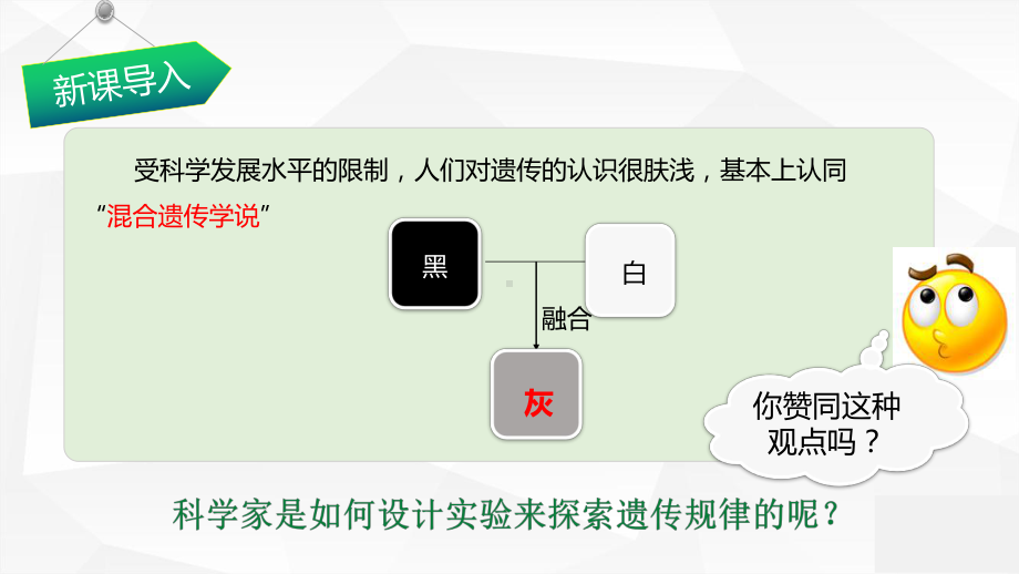 1.2.1 分离定律 豌豆一对相对性状的杂交实验及其解释 ppt课件-2023新苏教版（2019）《高中生物》必修第二册.pptx_第3页