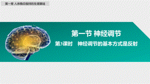 1.1.3神经调节的基本方式是反射 ppt课件-2023新苏教版（2019）《高中生物》选择性必修第一册.pptx