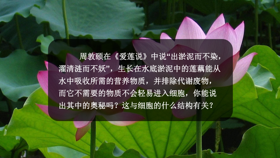 2.2细胞膜控制细胞与周围环境的联系 ppt课件-2023新浙科版（2019）《高中生物》必修第一册.pptx_第1页