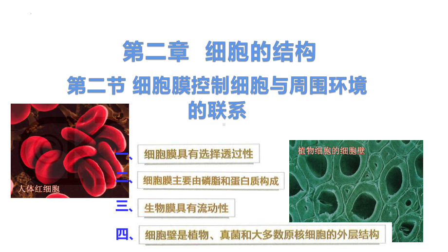 2.2细胞膜控制细胞与周围环境的联系 ppt课件-2023新浙科版（2019）《高中生物》必修第一册.pptx_第2页