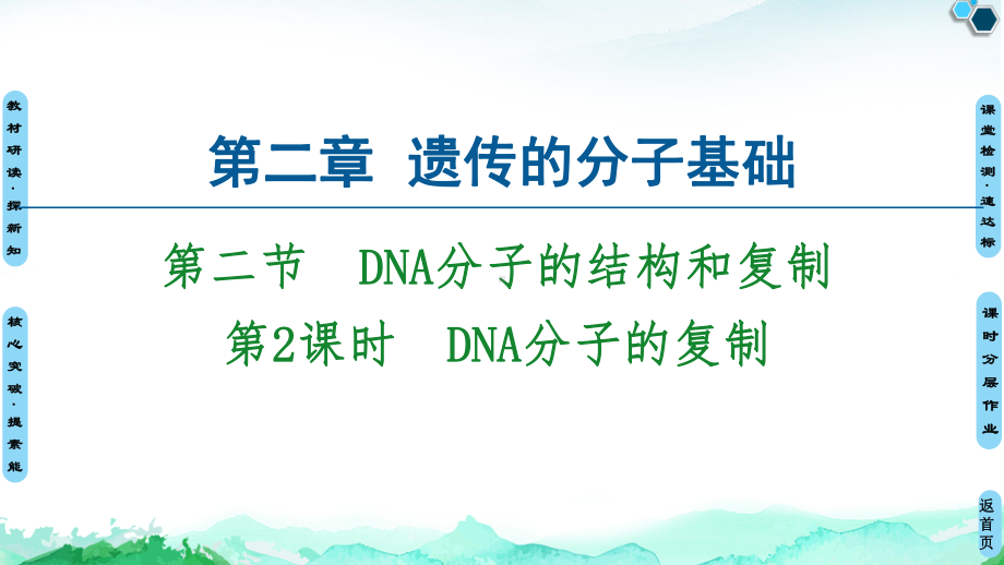 第2章 第2节 第2课时 DNA分子的复制 ppt课件-2023新苏教版（2019）《高中生物》必修第二册.ppt_第1页