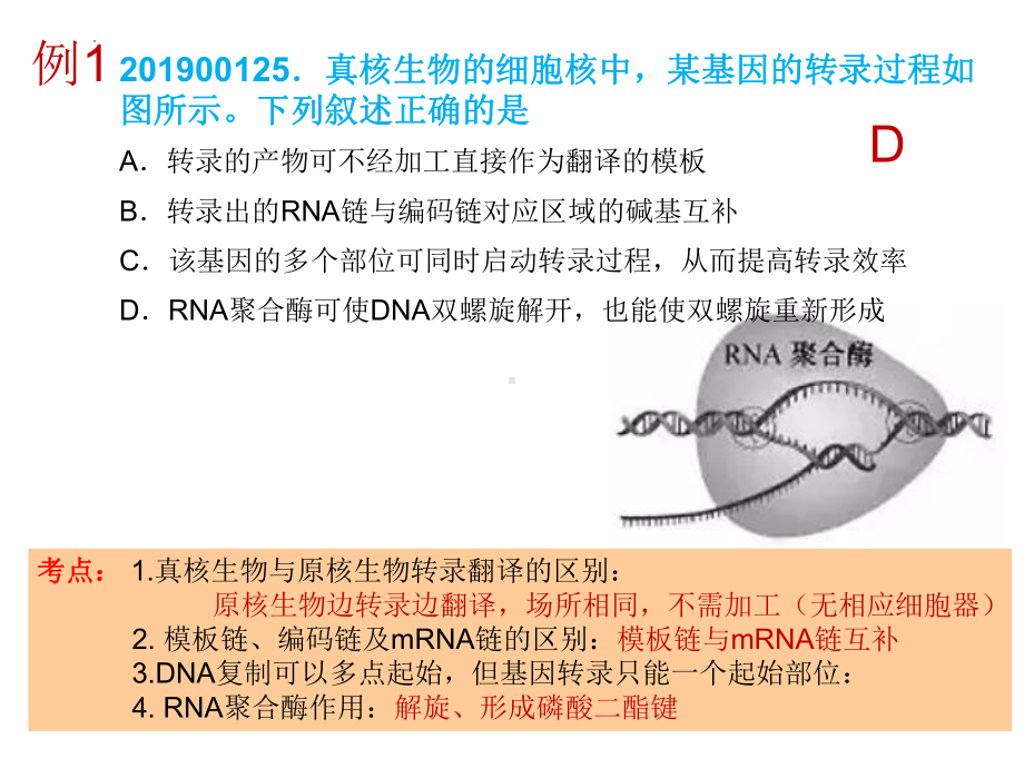 学考复习专题ppt课件题型3-4 基因表达及表观遗传-2023新浙科版（2019）《高中生物》必修第二册.pptx_第3页