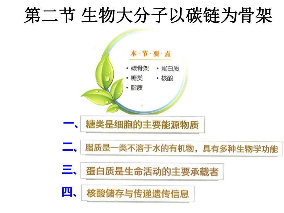 1.2 生物大分子以碳链为骨架ppt课件-2023新浙科版（2019）《高中生物》必修第一册.pptx_第1页