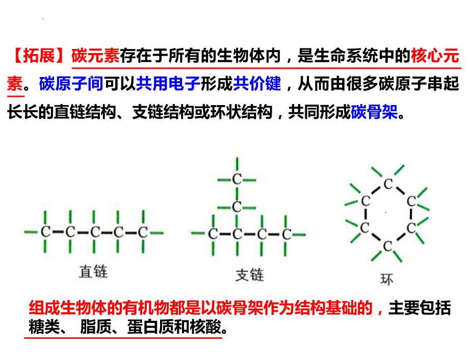 1.2 生物大分子以碳链为骨架ppt课件-2023新浙科版（2019）《高中生物》必修第一册.pptx_第2页