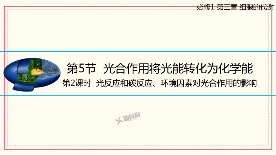 3.5.2 光反应和碳反应、环境因素对光合作用的影响ppt课件-2023新浙科版（2019）《高中生物》必修第一册.pptx_第1页