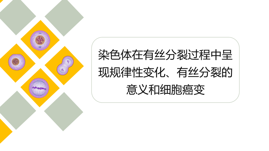 4.1.2染色体在有丝分裂过程中呈现规律性变化、有丝分裂的意义和细胞癌变 ppt课件-2023新浙科版（2019）《高中生物》必修第一册.pptx_第1页