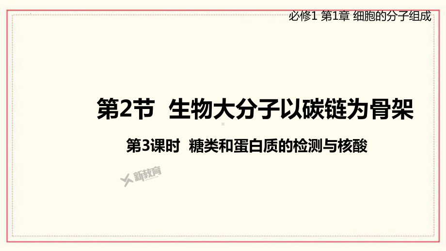 1.2.3 糖类和蛋白质的检测与核酸 ppt课件-2023新浙科版（2019）《高中生物》必修第一册.pptx_第1页