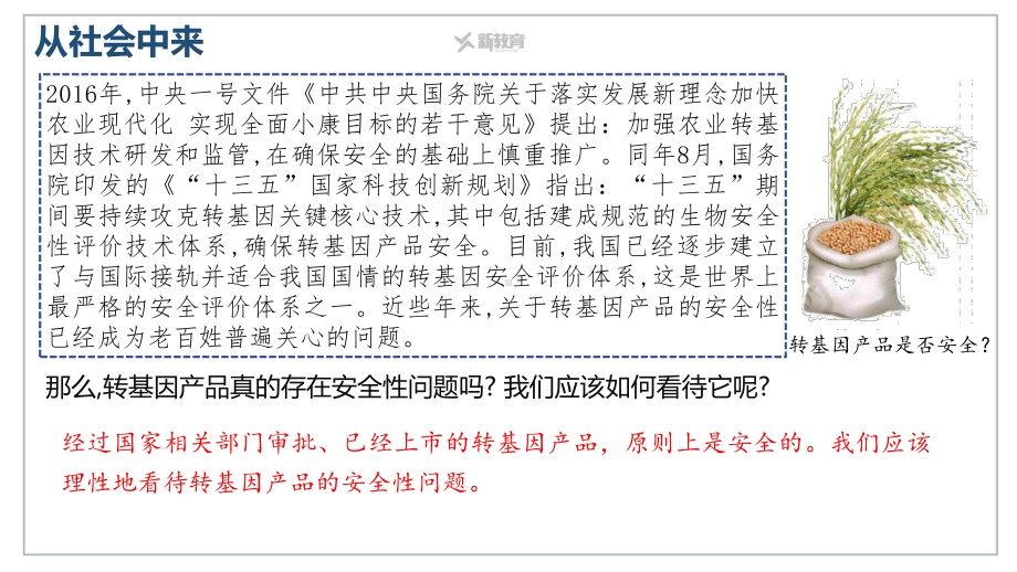 4.1 转基因产品的安全性 ppt课件-2023新人教版（2019）《高中生物》选择性必修第三册.pptx_第3页