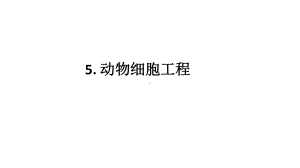 二轮复习ppt课件：动物细胞工程 -2023新人教版（2019）《高中生物》选择性必修第三册.pptx