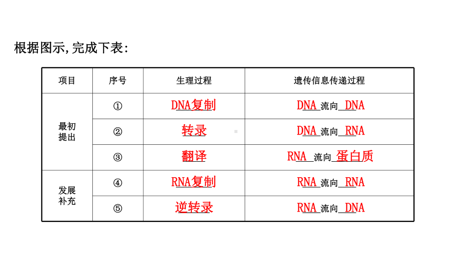 2.3.2 中心法则、细胞分化和表观遗传 ppt课件-2023新苏教版（2019）《高中生物》必修第二册.ppt_第3页