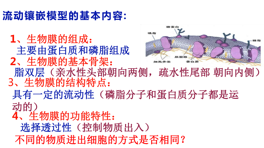 3.3 物质通过多种方式出入细胞 ppt课件-2023新浙科版（2019）《高中生物》必修第一册.pptx_第1页