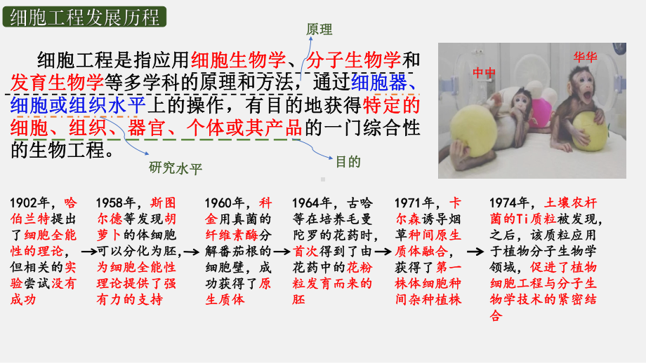 2.1.1植物组织培养技术ppt课件-2023新人教版（2019）《高中生物》选择性必修第三册.pptx_第1页