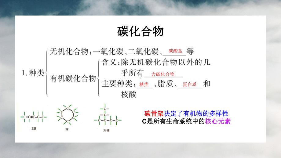 1.2生物大分子以碳链为骨架（第一课时)ppt课件-2023新浙科版（2019）《高中生物》必修第一册.pptx_第3页