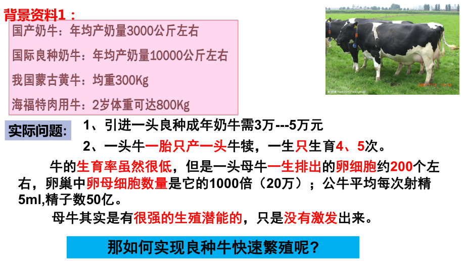 2.3.2 胚胎工程技术及其应用ppt课件-2023新人教版（2019）《高中生物》选择性必修第三册.pptx_第2页