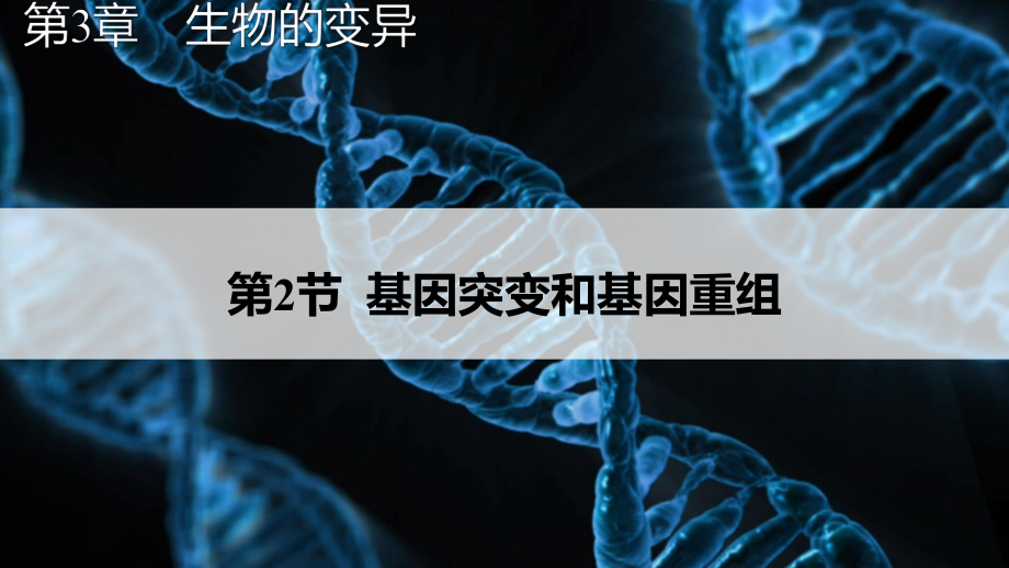 3.2基因突变和基因重组 ppt课件-2023新苏教版（2019）《高中生物》必修第二册.pptx_第1页