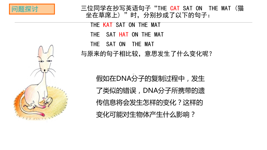 3.2基因突变和基因重组 ppt课件-2023新苏教版（2019）《高中生物》必修第二册.pptx_第3页