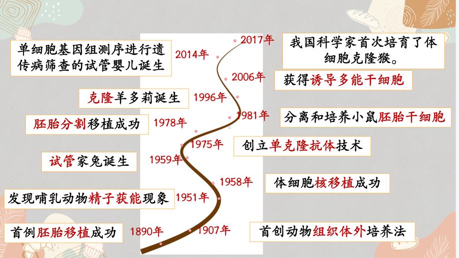 2.2.1动物细胞培养ppt课件2-2023新人教版（2019）《高中生物》选择性必修第三册.pptx_第2页