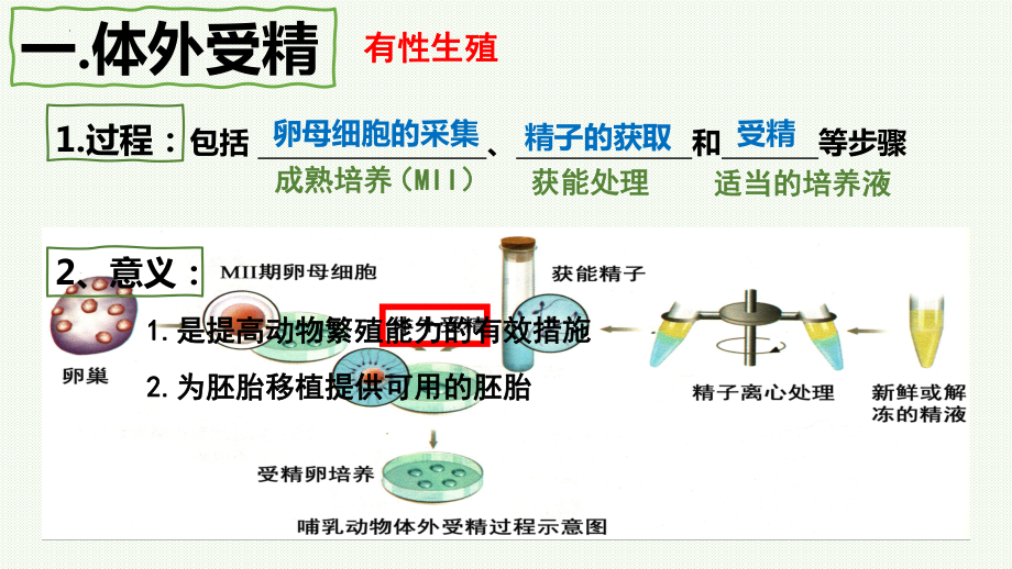 2.3.2胚胎工程技术及其应用ppt课件（同名3)-2023新人教版（2019）《高中生物》选择性必修第三册.pptx_第2页