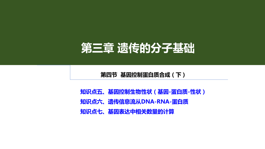 一轮复习生物：3.4 基因控制蛋白质合成（中心法则）ppt课件-2023新浙科版（2019）《高中生物》必修第二册.pptx_第1页