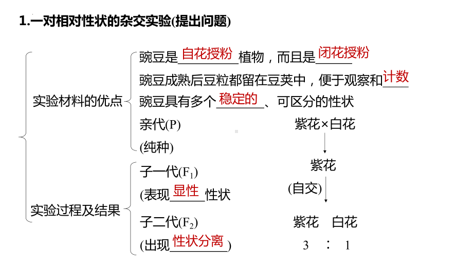 遗传基本规律学考复习ppt课件-2023新浙科版（2019）《高中生物》必修第二册.pptx_第2页