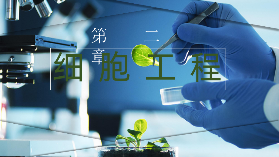 2.1.1植物细胞工程-第一课时植物细胞工程的基本技术ppt课件-2023新人教版（2019）《高中生物》选择性必修第三册.pptx_第1页