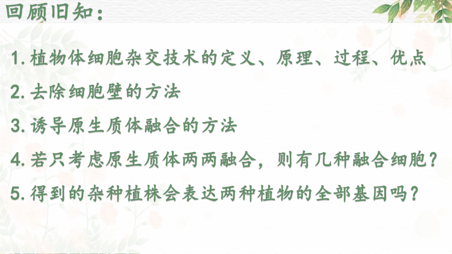 2.2.2动物细胞融合技术与单克隆抗体ppt课件-2023新人教版（2019）《高中生物》选择性必修第三册.pptx_第1页