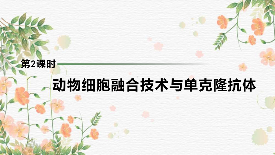 2.2.2动物细胞融合技术与单克隆抗体ppt课件-2023新人教版（2019）《高中生物》选择性必修第三册.pptx_第2页