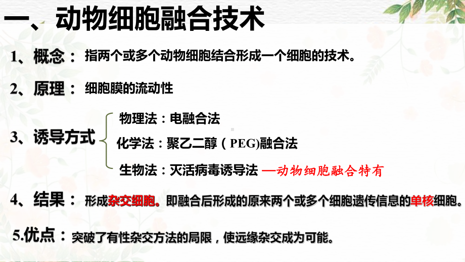 2.2.2动物细胞融合技术与单克隆抗体ppt课件-2023新人教版（2019）《高中生物》选择性必修第三册.pptx_第3页