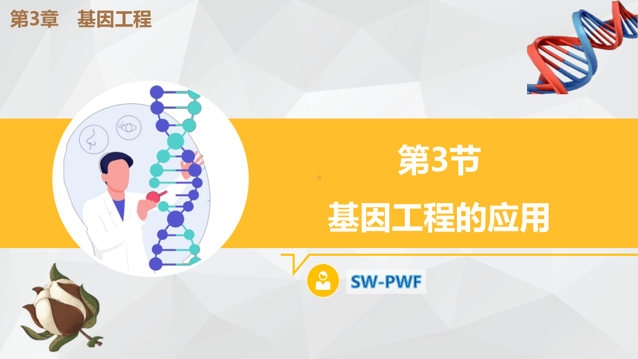 3.3 基因工程的应用ppt课件 -2023新人教版（2019）《高中生物》选择性必修第三册.pptx_第1页