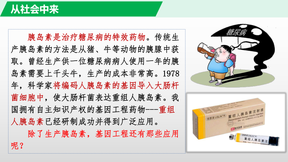 3.3 基因工程的应用ppt课件 -2023新人教版（2019）《高中生物》选择性必修第三册.pptx_第2页