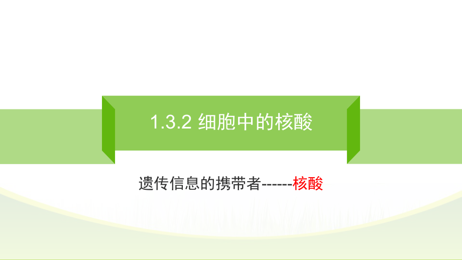 1.3.2 细胞中的核酸 ppt课件-2023新苏教版（2019）《高中生物》必修第一册.pptx_第1页