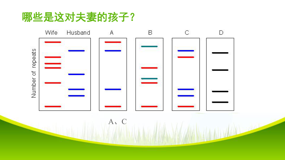 1.3.2 细胞中的核酸 ppt课件-2023新苏教版（2019）《高中生物》必修第一册.pptx_第3页