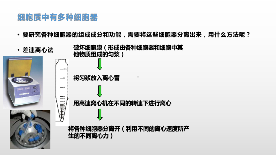 2.3细胞质是多项生命活动的场所 ppt课件-2023新浙科版（2019）《高中生物》必修第一册.pptx_第3页