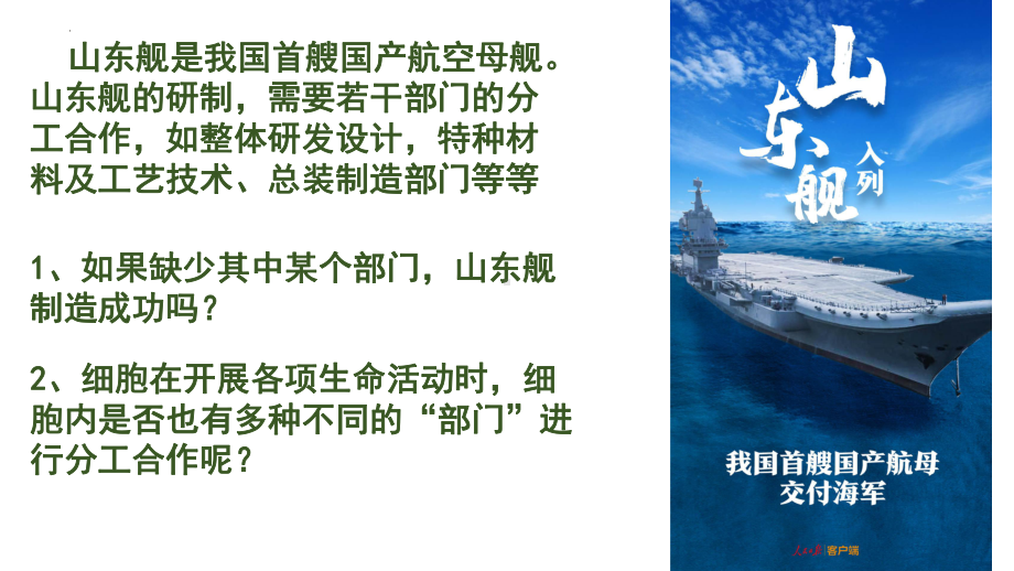 2.3细胞质是多项生命活动的场所ppt课件2-2023新浙科版（2019）《高中生物》必修第一册.pptx_第3页