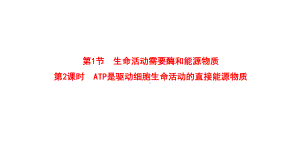 3.1.2 ATP是驱动细胞生命活动的直接能源物质 ppt课件-2023新苏教版（2019）《高中生物》必修第一册.ppt