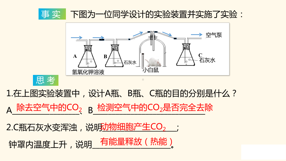 3.3 细胞呼吸及其影响因素 ppt课件-2023新苏教版（2019）《高中生物》必修第一册.pptx_第3页