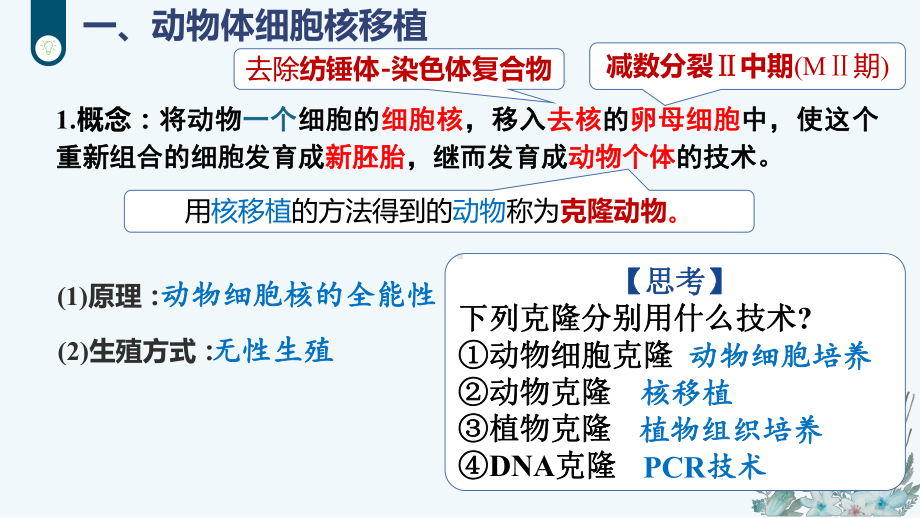 2.2.3动物体细胞核移植技术和克隆动物ppt课件-2023新人教版（2019）《高中生物》选择性必修第三册.pptx_第3页