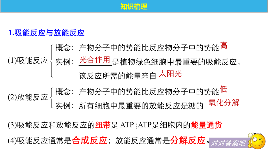 一轮复习生物：细胞和能量、酶ppt课件-2023新浙科版（2019）《高中生物》必修第一册.pptx_第3页