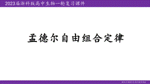 一轮复习生物：自由组合定律ppt课件-2023新浙科版（2019）《高中生物》必修第二册.pptx