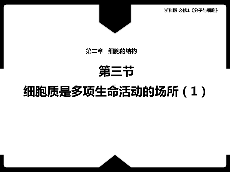 2.3细胞质是多项生命活动的场所 ppt课件 -2023新浙科版（2019）《高中生物》必修第一册.pptx_第1页