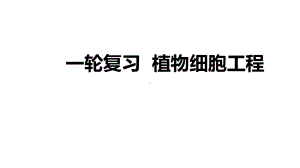 一轮复习ppt课件 植物细胞工程-2023新人教版（2019）《高中生物》选择性必修第三册.pptx